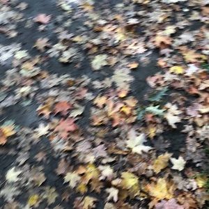 Meet your Posher, Blerina